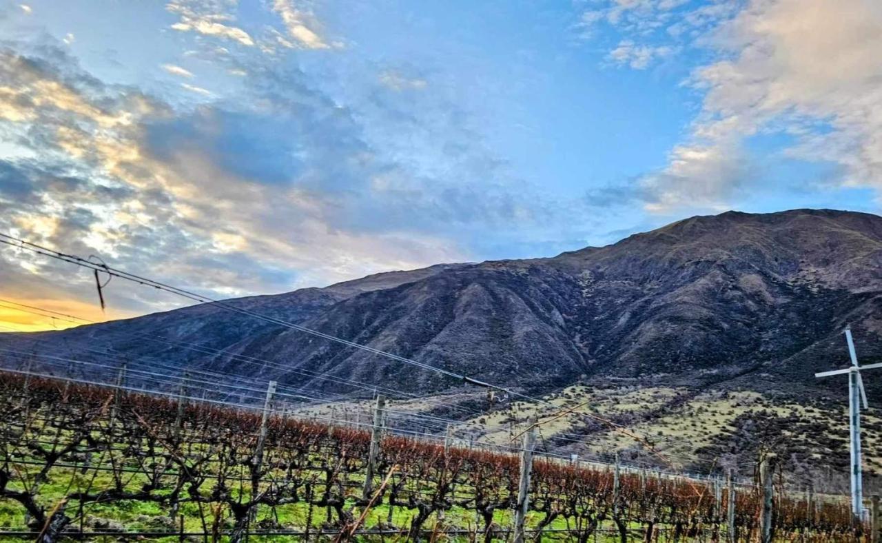 شقة Gibbston - Wake Up In The Vines المظهر الخارجي الصورة